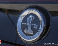 TSR Watermark - 0554